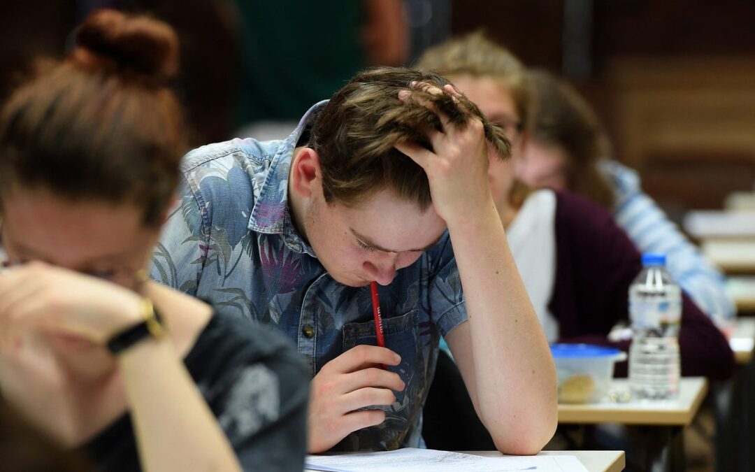 Maturità 2024, il toto-temi di Wired