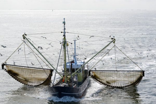 Web scraping, come evitare la pesca a strascico dei dati per allenare l’intelligenza artificiale