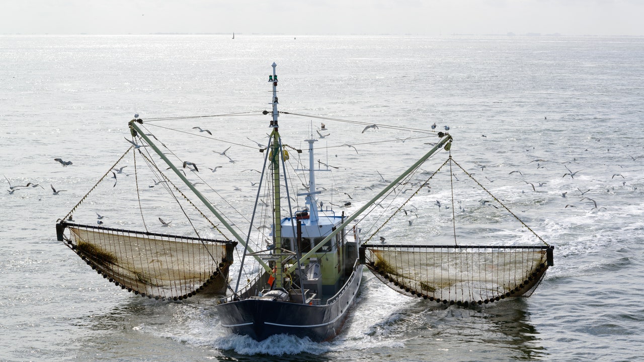 Web scraping, come evitare la pesca a strascico dei dati per allenare l’intelligenza artificiale