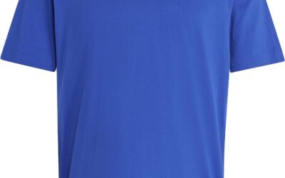 Adidas Mens Essentials Single Jersey Embroidered Small Logo Tee
