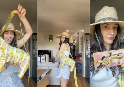 In rete spopola una borsa a forma di cavallo disegnata dall’AI