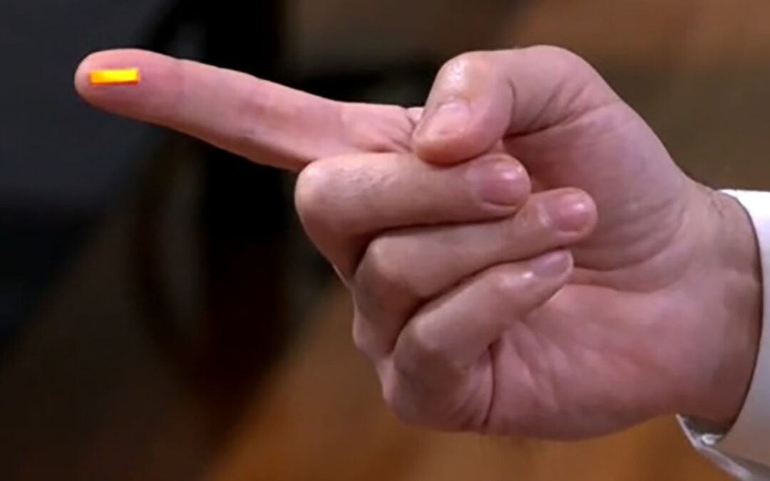 BiCS8, WD e Kioxia svelano la memoria 3D NAND QLC da 256 GB che sta sulla punta di un dito