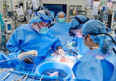 Trapianto rene di maiale, perché in una donna è durato due mesi