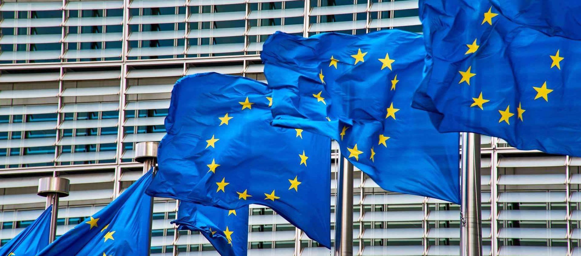richieste di informazioni a Shein e Temu