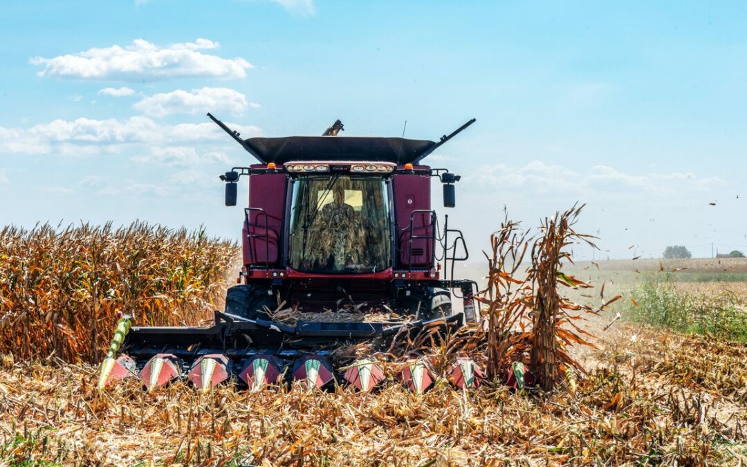 Il caporalato in Italia sfrutta 230mila lavoratori