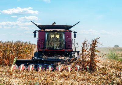 Il caporalato in Italia sfrutta 230mila lavoratori