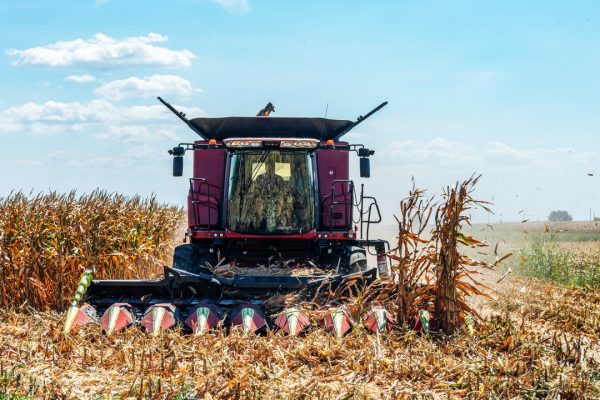 Il caporalato in Italia sfrutta 230mila lavoratori