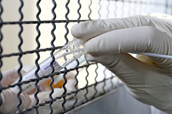 Influenza aviaria, cosa sappiamo della prima persona morta con H5N2