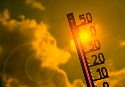 Funghi, il riscaldamento globale potrebbe renderli più pericolosi