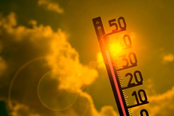 Funghi, il riscaldamento globale potrebbe renderli più pericolosi