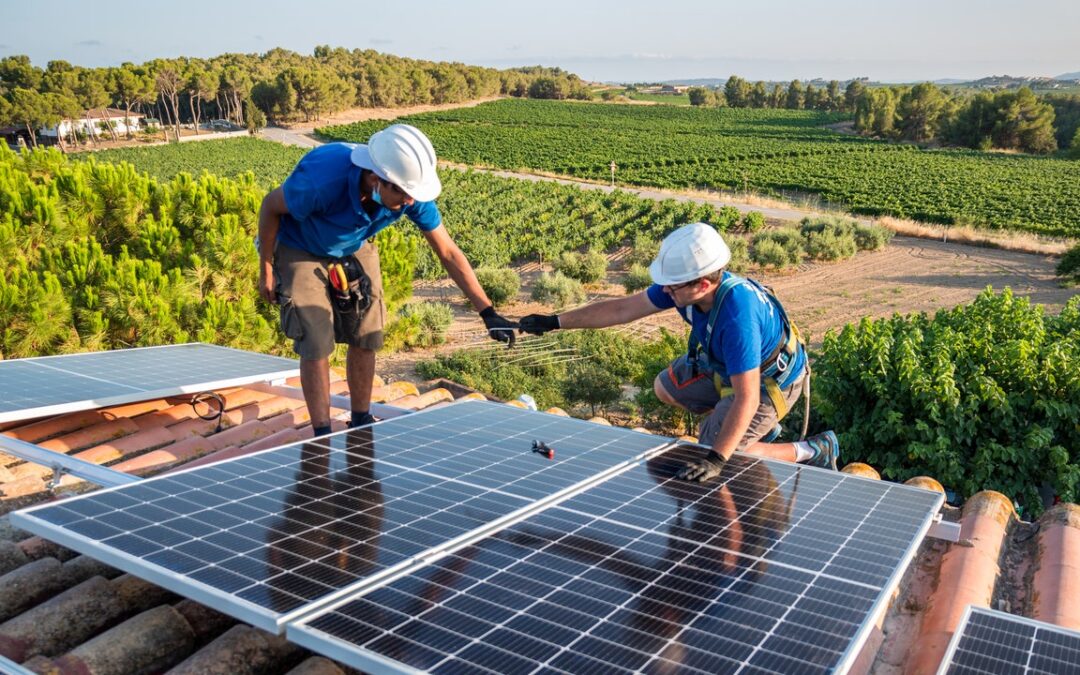 Le energie rinnovabili hanno coperto oltre la metà della domanda di elettricità in Italia