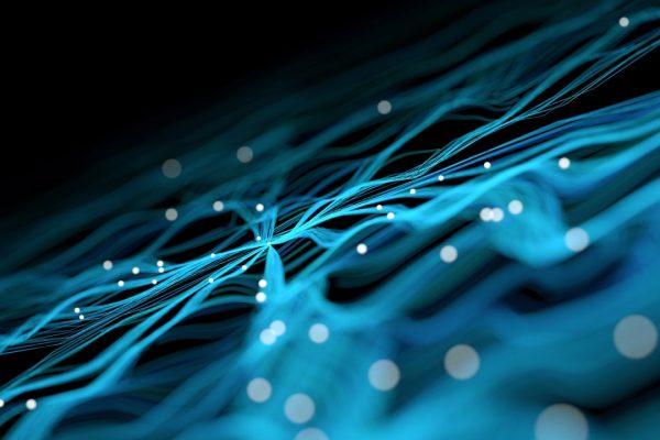 Il cervello umano come non lo abbiamo mai visto