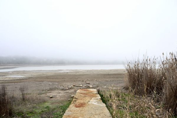 Giornata mondiale dell’ambiente, un terzo dell’Italia rischia di diventare un deserto