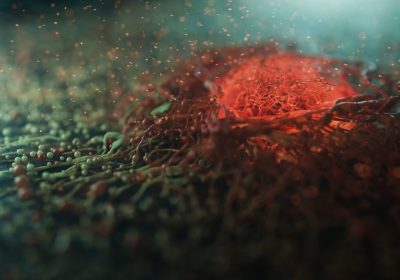 Tumori, così i virus attenuati aiutano a combatterli