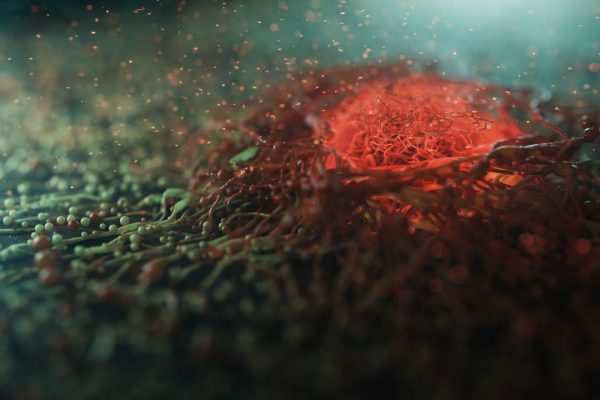 Tumori, così i virus attenuati aiutano a combatterli