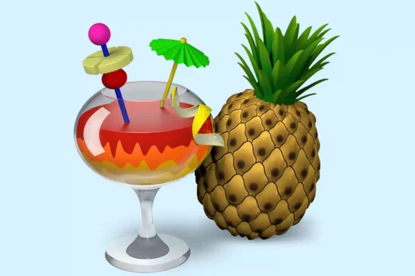 nuovi bugfix per il convertitore video gratuito