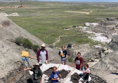 T.rex, la storia del rarissimo fossile di un esemplare “adolescente” scoperto da tre bambini negli Stati Uniti