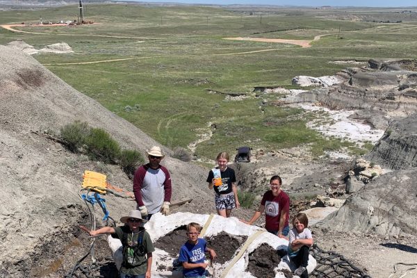 T.rex, la storia del rarissimo fossile di un esemplare “adolescente” scoperto da tre bambini negli Stati Uniti