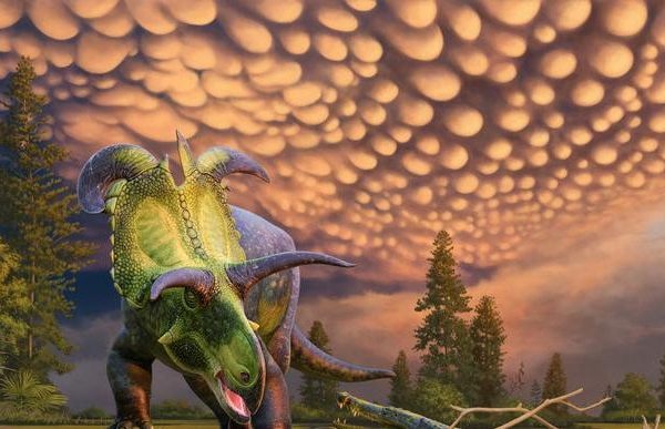 Dinosauro, ecco il lokiceratopo, il gigante (erbivoro) che prende il nome dal dio Loki