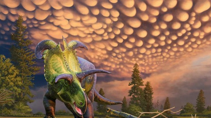 Dinosauro, ecco il lokiceratopo, il gigante (erbivoro) che prende il nome dal dio Loki