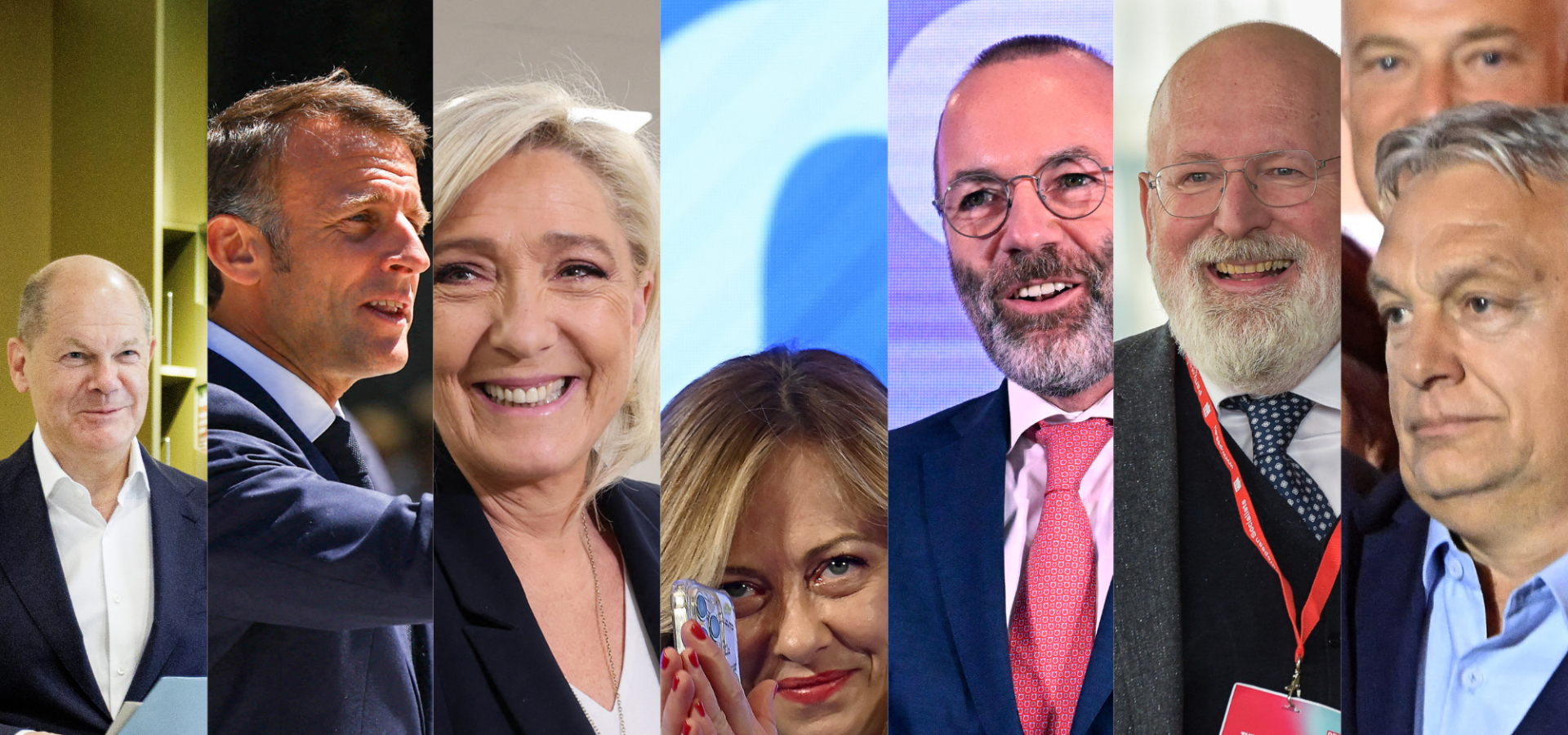 Chi vince e chi perde le elezioni europee, paese per paese