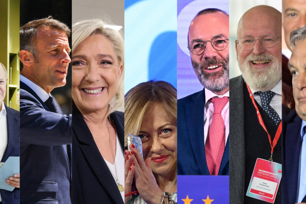 Chi vince e chi perde le elezioni europee, paese per paese