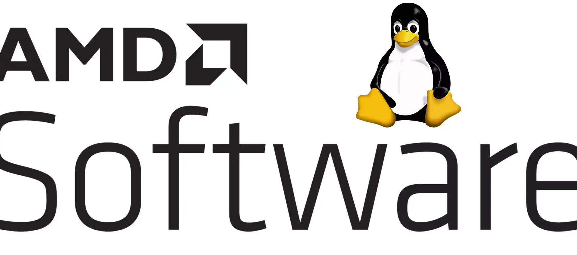 Radeon Software 24.10.3 si aggiorna con ROCm 6.1.3 su Linux