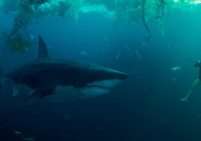 Under Paris, un regista francese ha accusato i produttori di aver copiato la sua storia