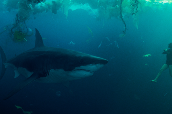 Under Paris, un regista francese ha accusato i produttori di aver copiato la sua storia