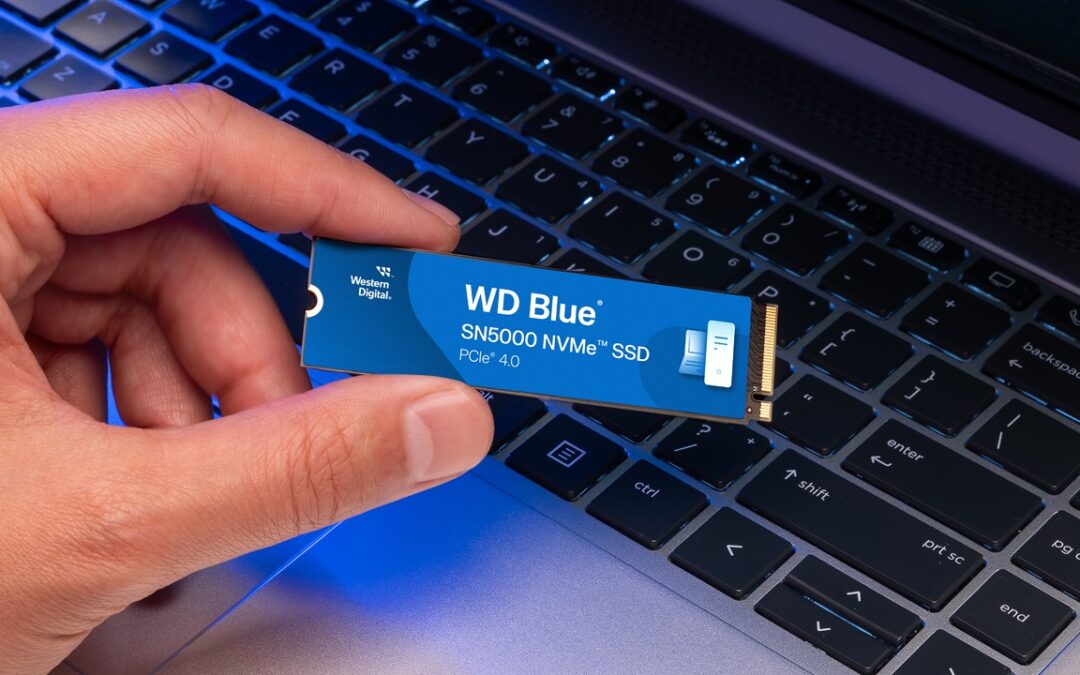 Western Digital Blue SN5000 NVMe: nuove unità fino a 4 TB, ma il prezzo non convince