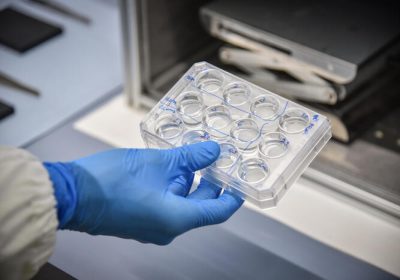 Il 65% dei pazienti si dichiara favorevole all’utilizzo di terapie digitali – Notizie