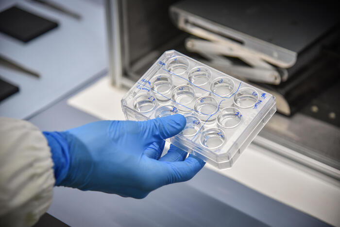 Il 65% dei pazienti si dichiara favorevole all’utilizzo di terapie digitali – Notizie