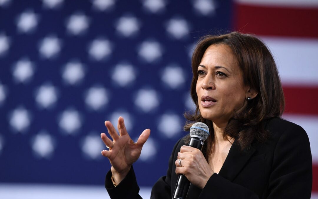 Biden, cosa succede ora che si è ritirato