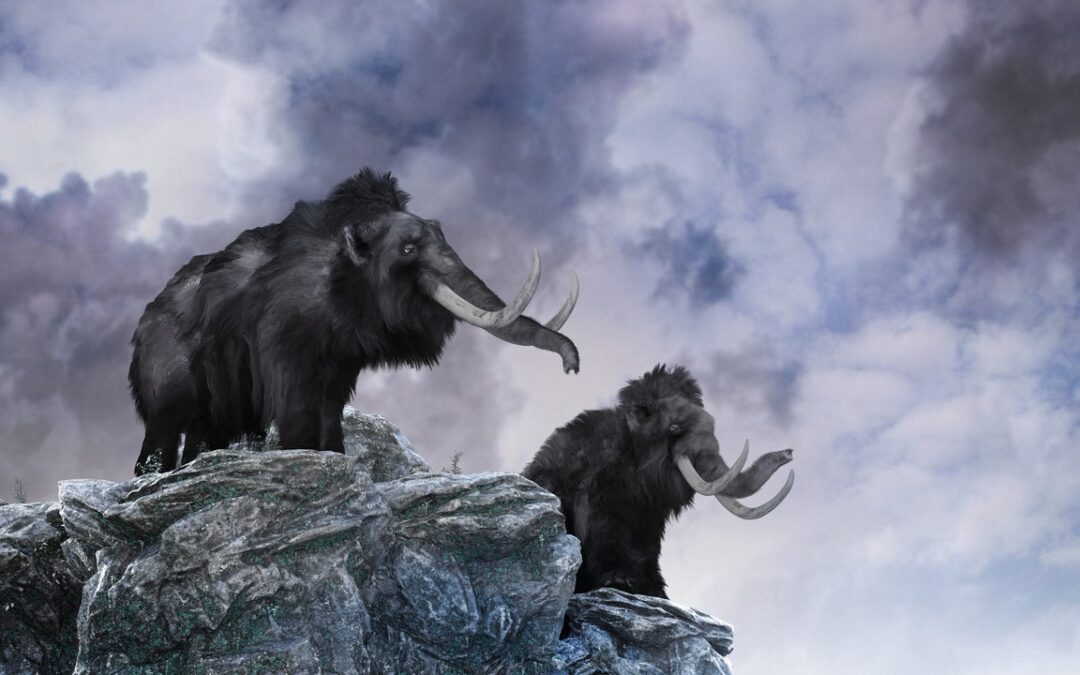 Mammut, come sono scomparsi gli ultimi dalla Terra?