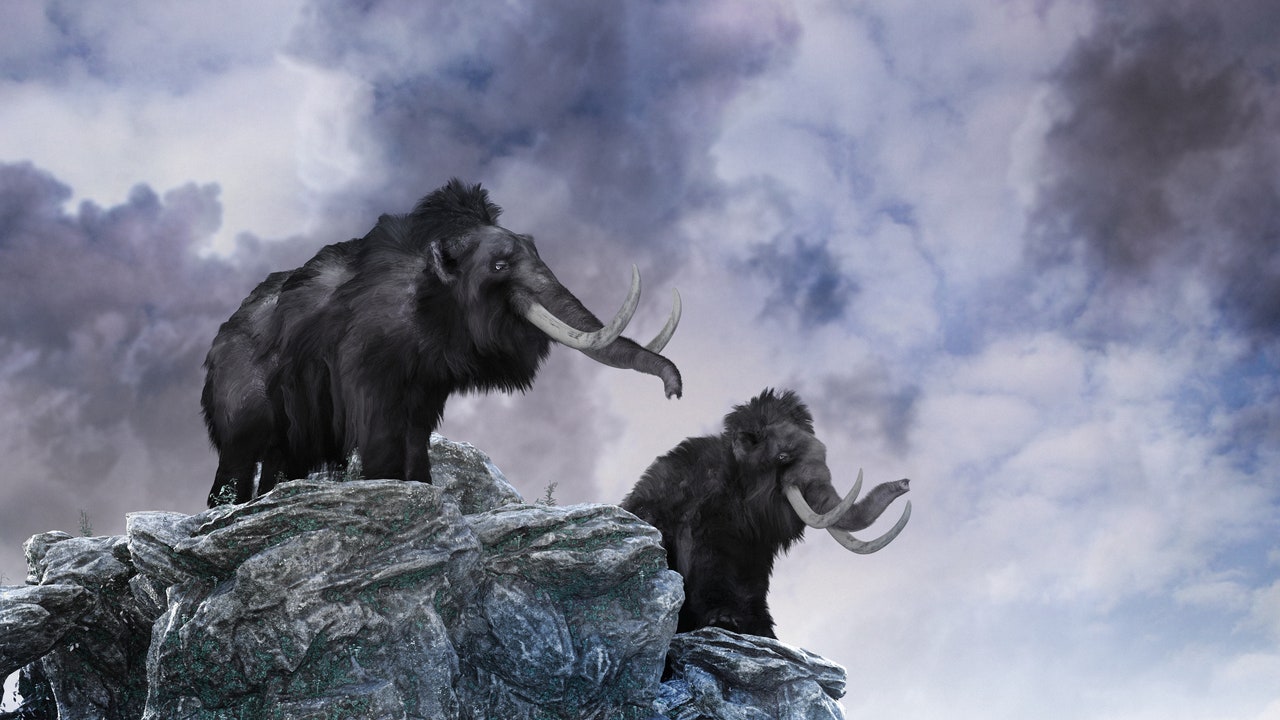 Mammut, come sono scomparsi gli ultimi dalla Terra?