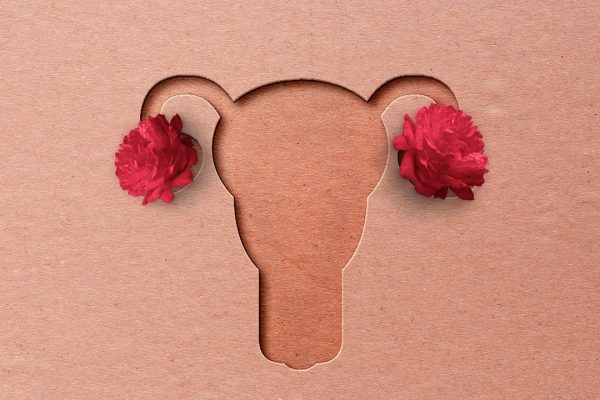 La rapamicina come risorsa per ritardare l’invecchiamento delle ovaie