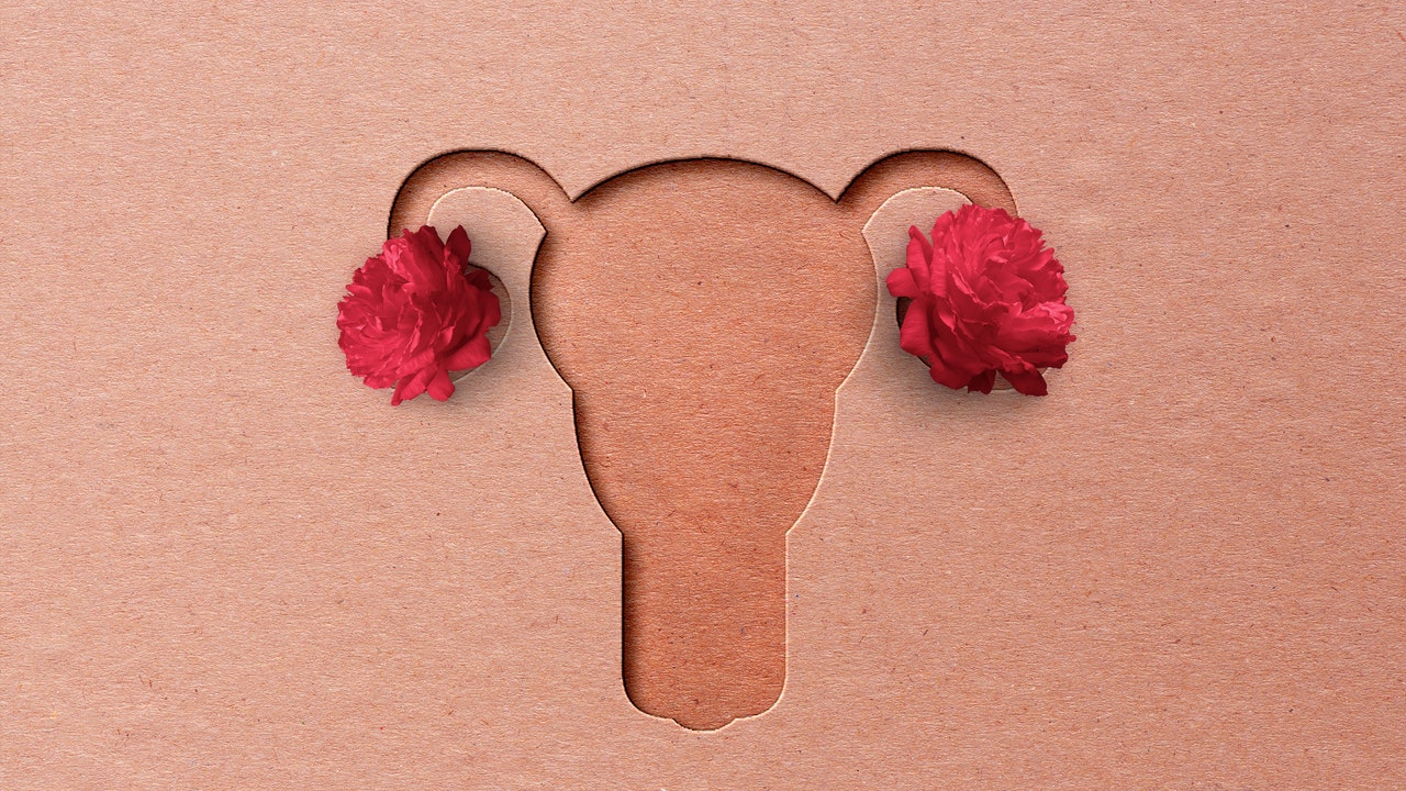 La rapamicina come risorsa per ritardare l’invecchiamento delle ovaie