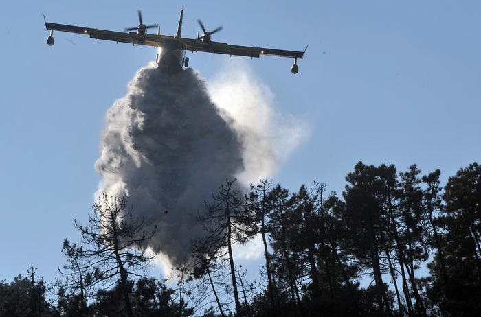 L’Intelligenza Artificiale per la prevenzione degli incendi boschivi: sperimentazione in Piemonte – Ultime novità