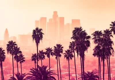 Alberi, anche loro possono inquinare l’aria se troppo stressati dal caldo