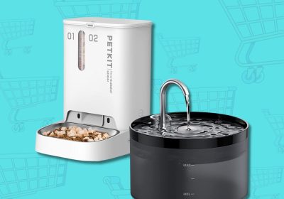 Amazon Prime Day, i migliori prodotti in offerta per i tuoi animali domestici