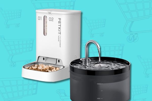 Amazon Prime Day, i migliori prodotti in offerta per i tuoi animali domestici