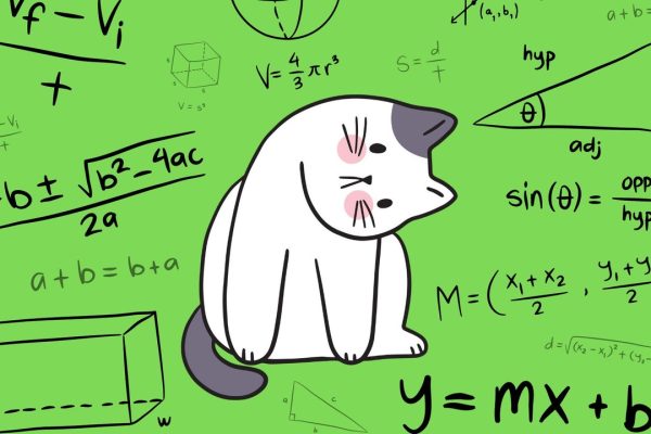 Prime Day 2024, come trovare le migliori offerte su Amazon