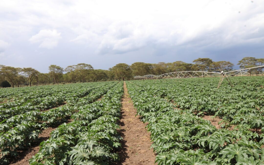 La strategia di Eni per l’economia circolare