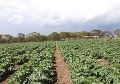 La strategia di Eni per l’economia circolare