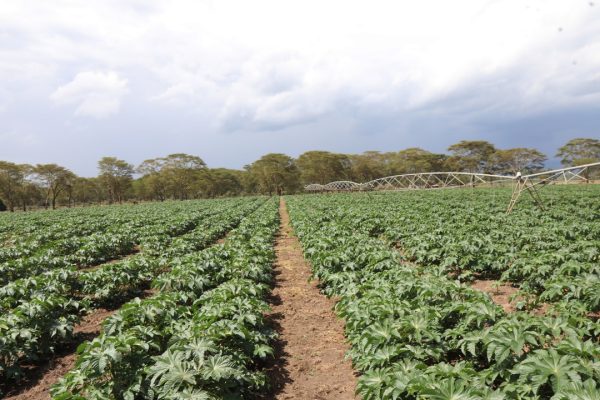 La strategia di Eni per l’economia circolare