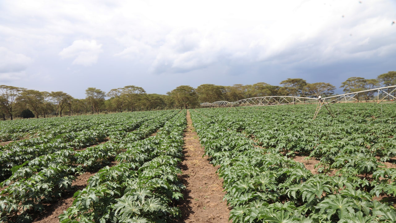 La strategia di Eni per l’economia circolare