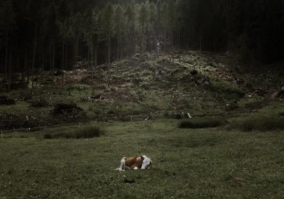 Forests seen from space – Echoes of the Vaia storm: Leica Camera Italia ed ESA insieme per le foreste