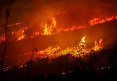 Incendi, ecco quello che c’è da sapere su come nascono e si propagano