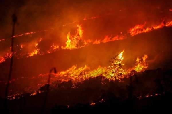 Incendi, ecco quello che c’è da sapere su come nascono e si propagano