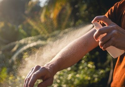 Zanzare, microbi della pelle ingegnerizzati promettono di renderci meno appetibili